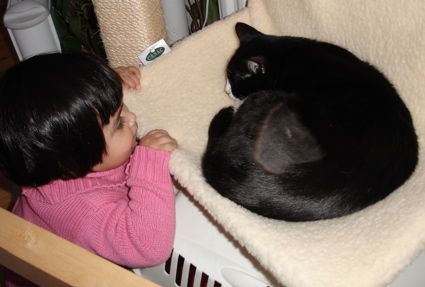 17 Feb Smudge 4.jpg